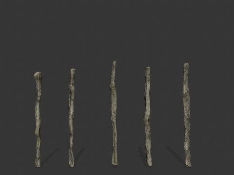 Old woods 3D Модель