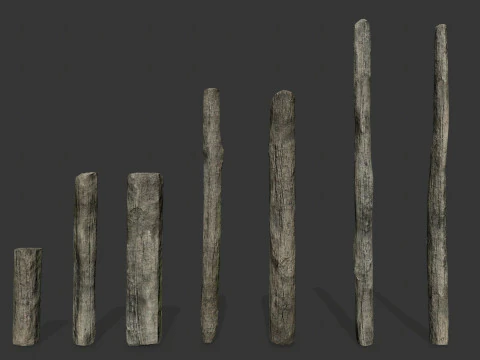 Oude bossen 3D Model