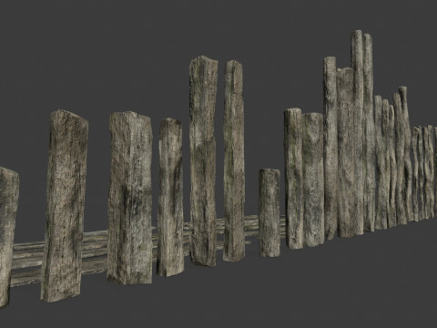 Old woods 3D Модель