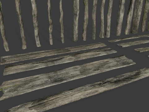 Old woods 3D Модель