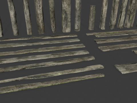 Old woods 3D Модель