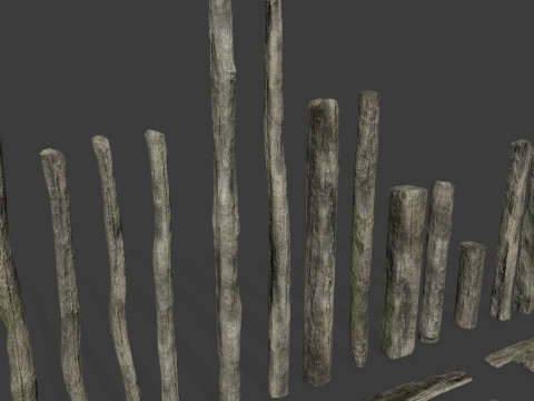 Old woods 3D Модель