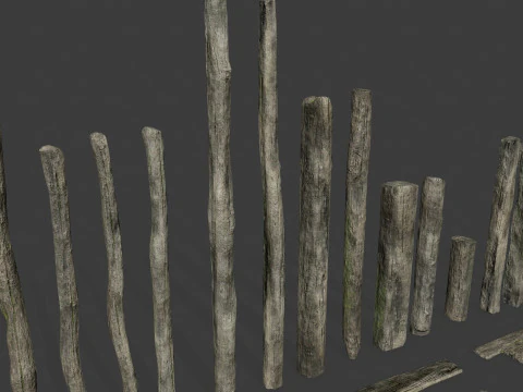 Oude bossen 3D Model