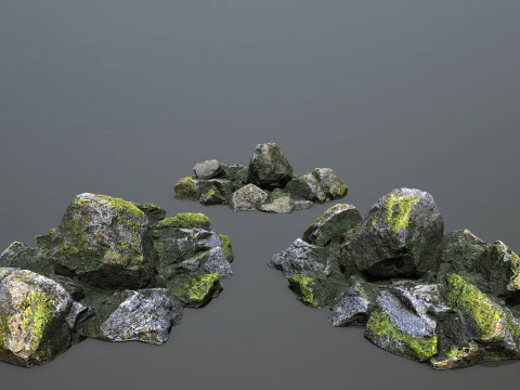 Forest rocks 3D Model