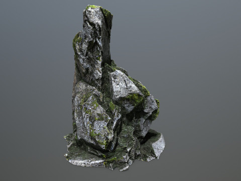 Forest rocks Model 3D
