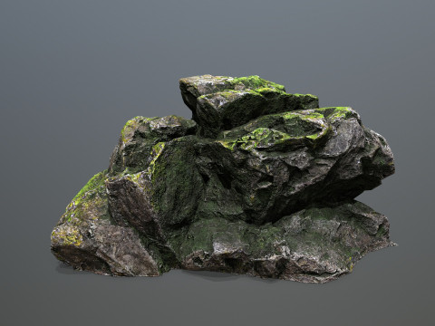 Forest rocks Model 3D