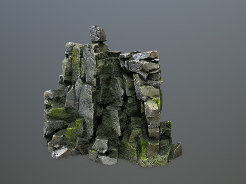 Forest rocks Model 3D
