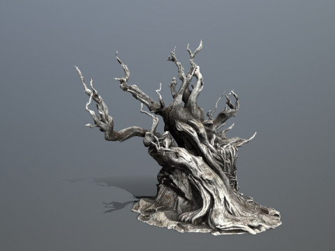 Темное дерево 3D Модель