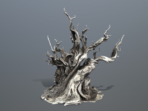 Темное дерево 3D Модель