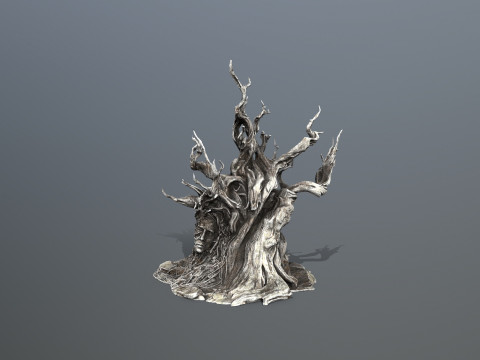 Темное дерево 3D Модель