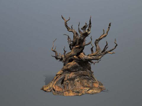 Темное дерево 3D Модель