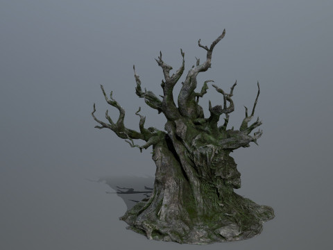 Karanlık Ağa&ccedil; 3D Model