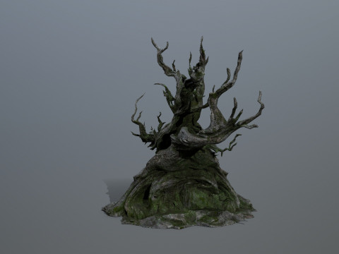 Karanlık Ağa&ccedil; 3D Model