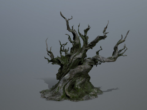 Karanlık Ağa&ccedil; 3D Model