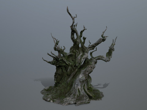 Karanlık Ağa&ccedil; 3D Model