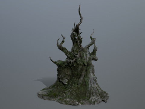 Karanlık Ağa&ccedil; 3D Model