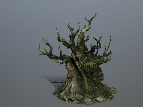 Karanlık Ağa&ccedil; 3D Model