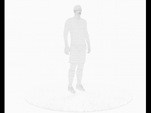 zlatan ibrahimovic game ready football player kick animation Model 3D