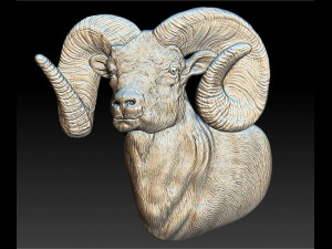 ram - relief - 2019 3D Print Model