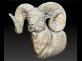 Ram - relief - 2019 3D Model
