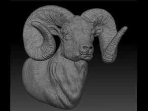 carneiro - relevo - 2019 Modelo de Impressão 3D