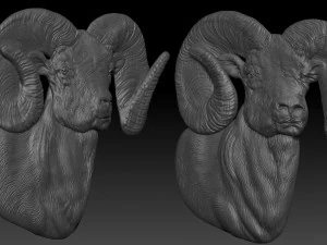 carneiro - relevo - 2019 Modelo de Impressão 3D