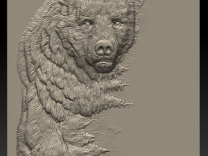 bear -relief -3d print Modèles 3D en vedette