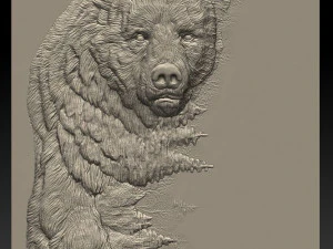 urso -relevo -impress&atilde;o 3d Modelo de Impressão 3D