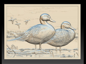 ducks on the river - relief - 2017 3Dプリントモデル