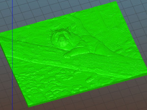 bear in the forest -relief -3d print 3D 打印模型