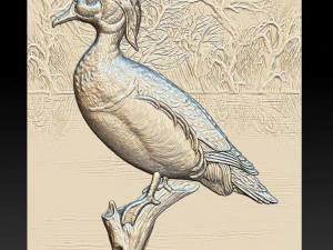 wood duck - relief - 2019 3D Print Model