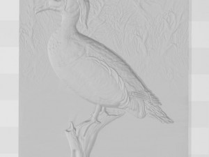 wood duck - relief - 2019 3D 프린트 모델