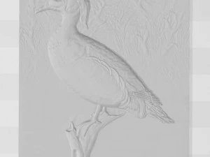 wood duck - relief - 2019 3D Print Model