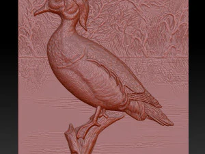 wood duck - relief - 2019 3D Print Model