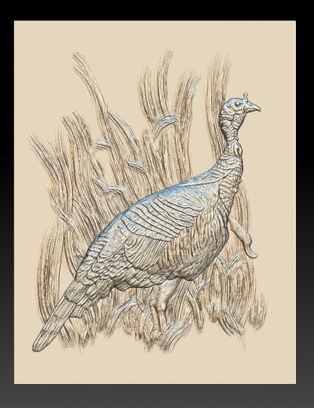 wild turkey - relief -2019 3D Принт Модель .c4d .max .obj .3ds .fbx .stl .blend 