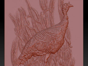 wild turkey - relief -2019 3D Принт Модель
