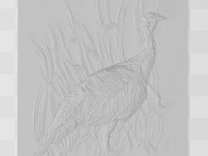 wild turkey - relief -2019 3D Принт Модель