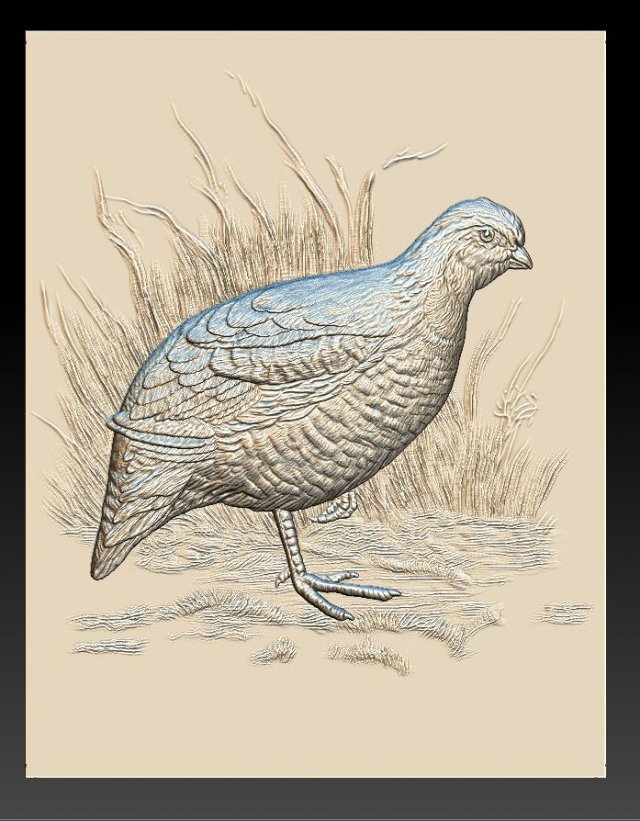 white quail - relief - 2019 3D 프린트 모델 .c4d .max .obj .3ds .fbx .stl .blend 
