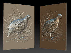 white quail - relief - 2019 3D 프린트 모델