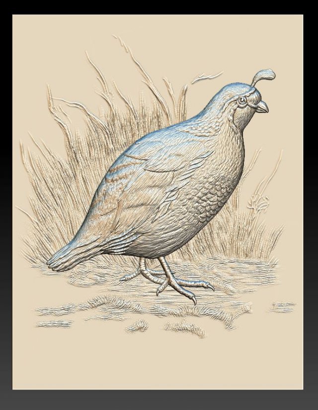 white quail 2 - relief - 2020 3D-printmodel .c4d .max .obj .3ds .fbx .stl .blend 