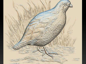 white quail 2 - relief - 2020 3D Print Model