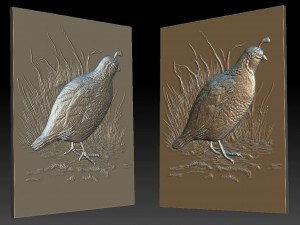 white quail 2 - relief - 2020 3D-printmodel