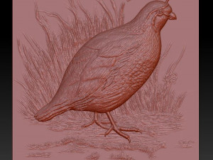 white quail 2 - relief - 2020 3D-printmodel