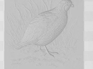 white quail 2 - relief - 2020 3D-printmodel