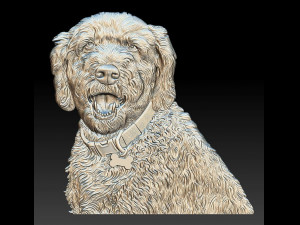 dog head - relief - 2018 3D Print Model