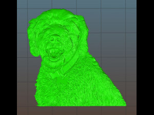 dog head - relief - 2018 3D 打印模型