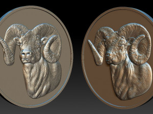 ram coin - relief - 2020 Model Cetak 3D