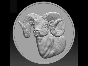 ram coin - relief - 2020 3D Print Model
