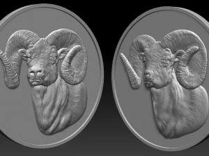ram coin - relief - 2020 3D Print Model