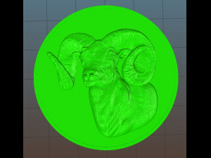 ram coin - relief - 2020 Model Cetak 3D